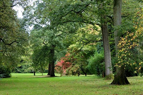 Westonbirt Arboretum.jpg
